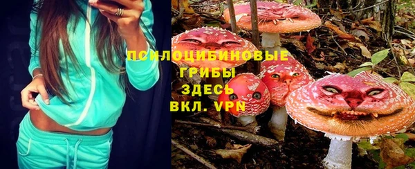 винт Лабытнанги