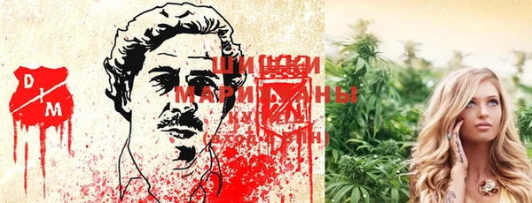 сатива Ладушкин