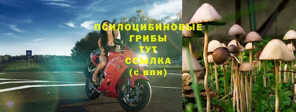 марки lsd Лагань